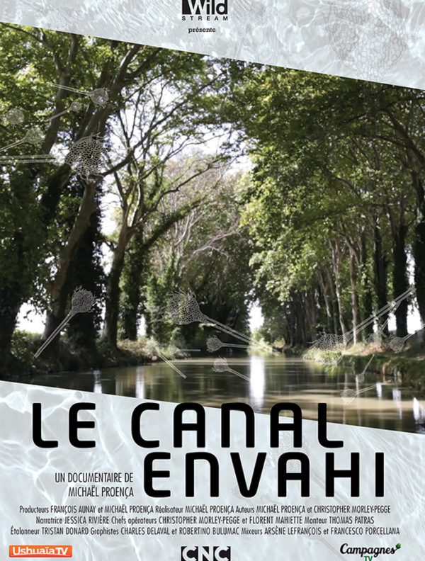 Le canal envahi